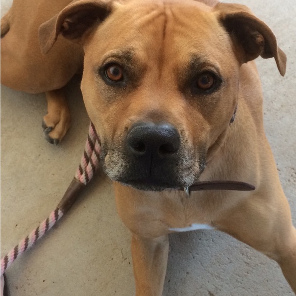 Meet your Posher, Janet - Picture 11 of 12